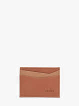 Card Holder Leather Etrier Brown cadence ECAD5014