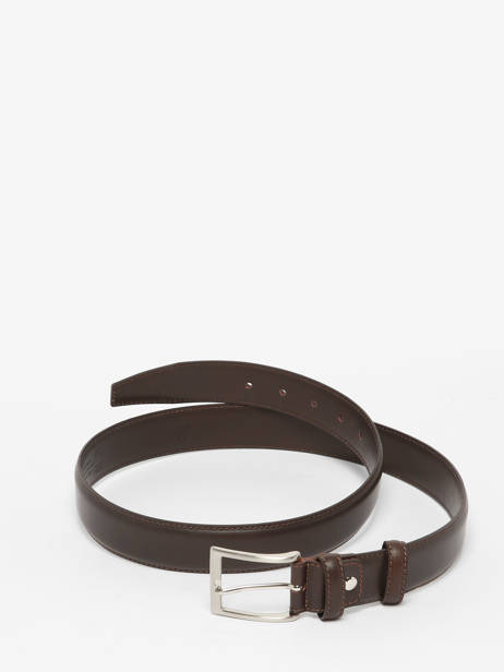 Riem Etrier Bruin bride 222543 ander zicht 5